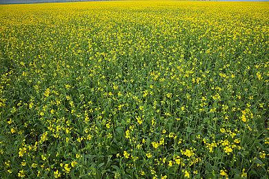 《直到黎明》原开发商Supermassive两名创始人卸任