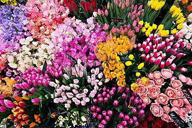 ARPG《关于我转生变成史莱姆这档事》8月8日发售